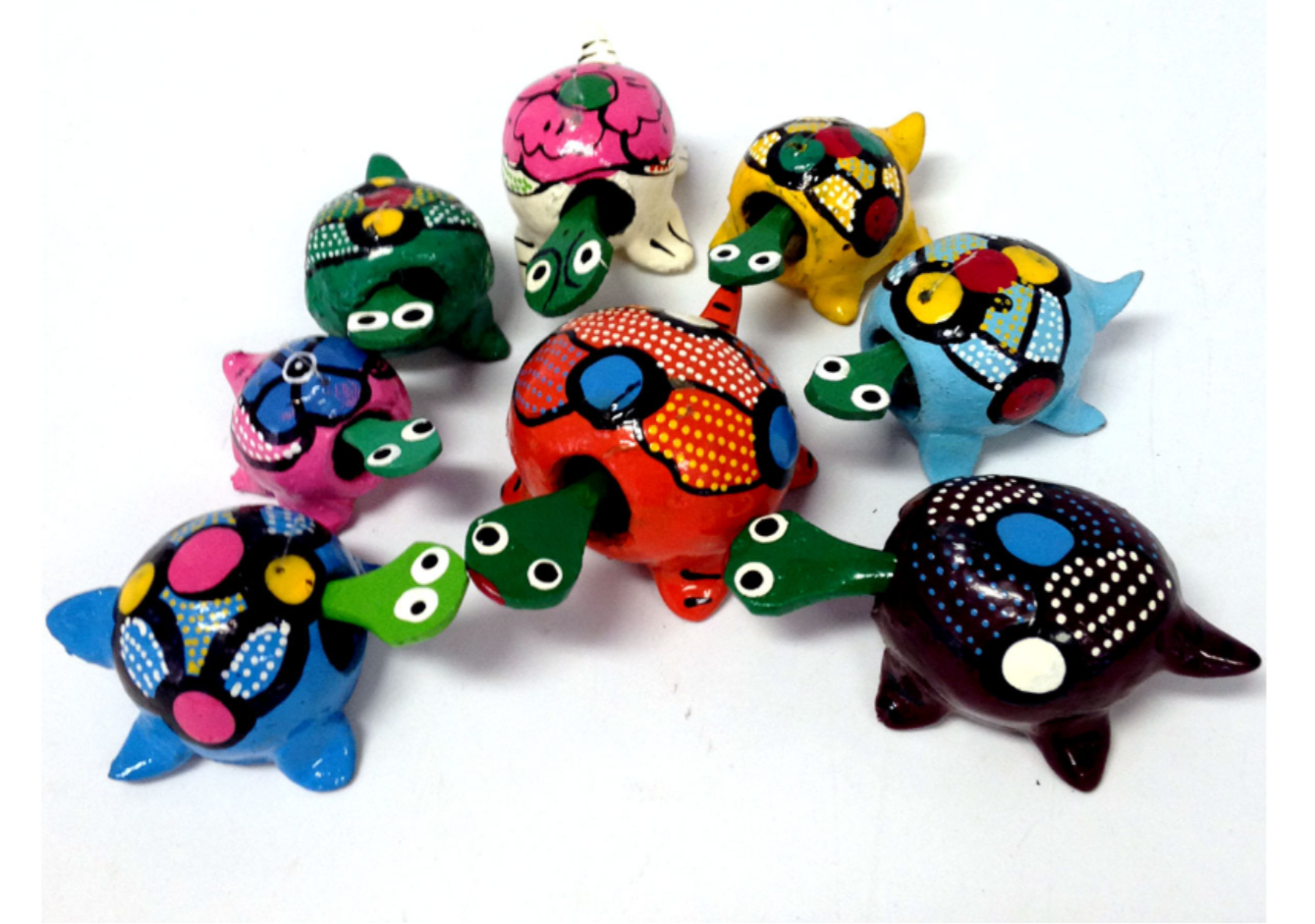 TURTLE CAPUT